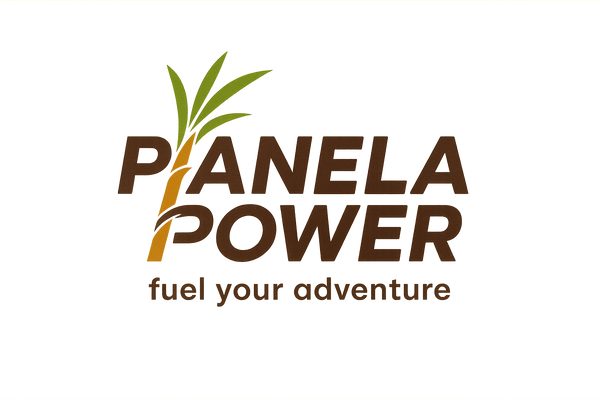 logo is good, Name of company is Panela Power
Tagline: fuel your adventure.
